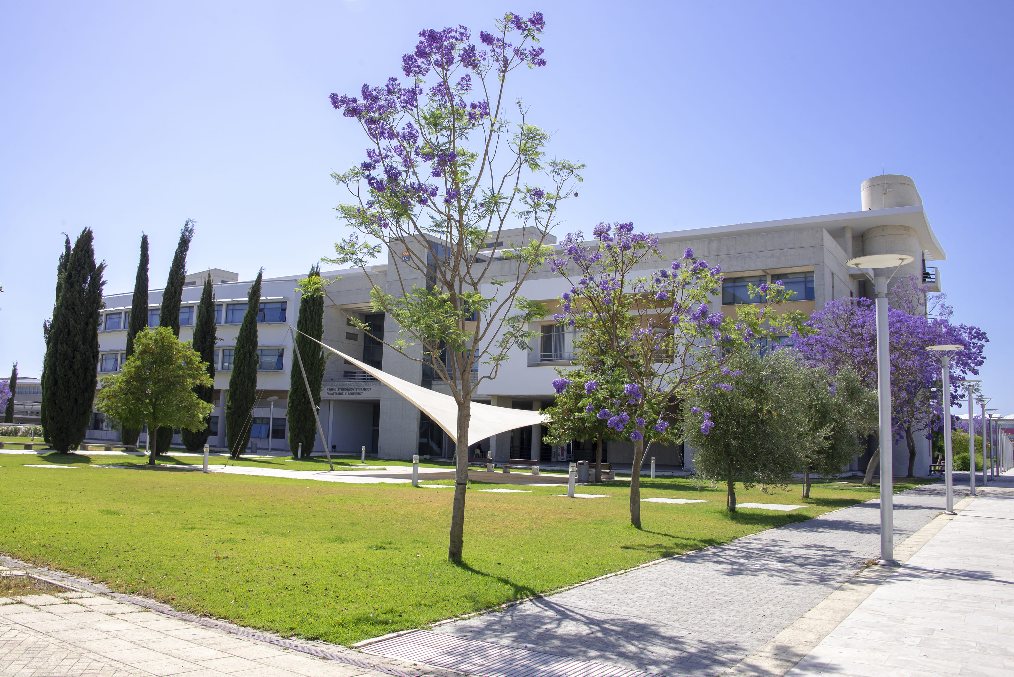 Cyprus International University